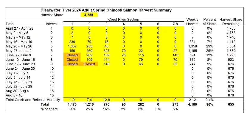 idfgsalmon062524