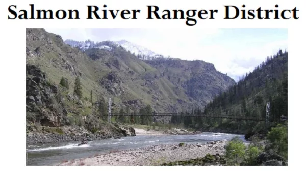 salmonriverrangerdist081224