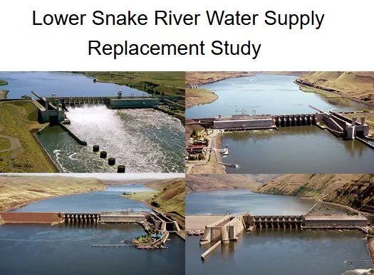 lowerssnake010225