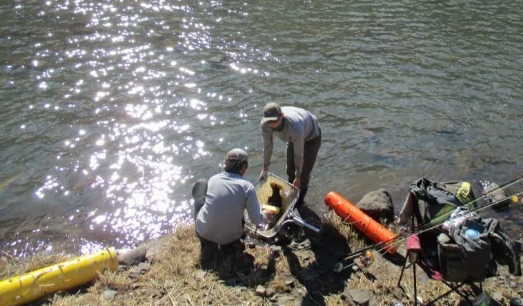 idfgbroodstock013025