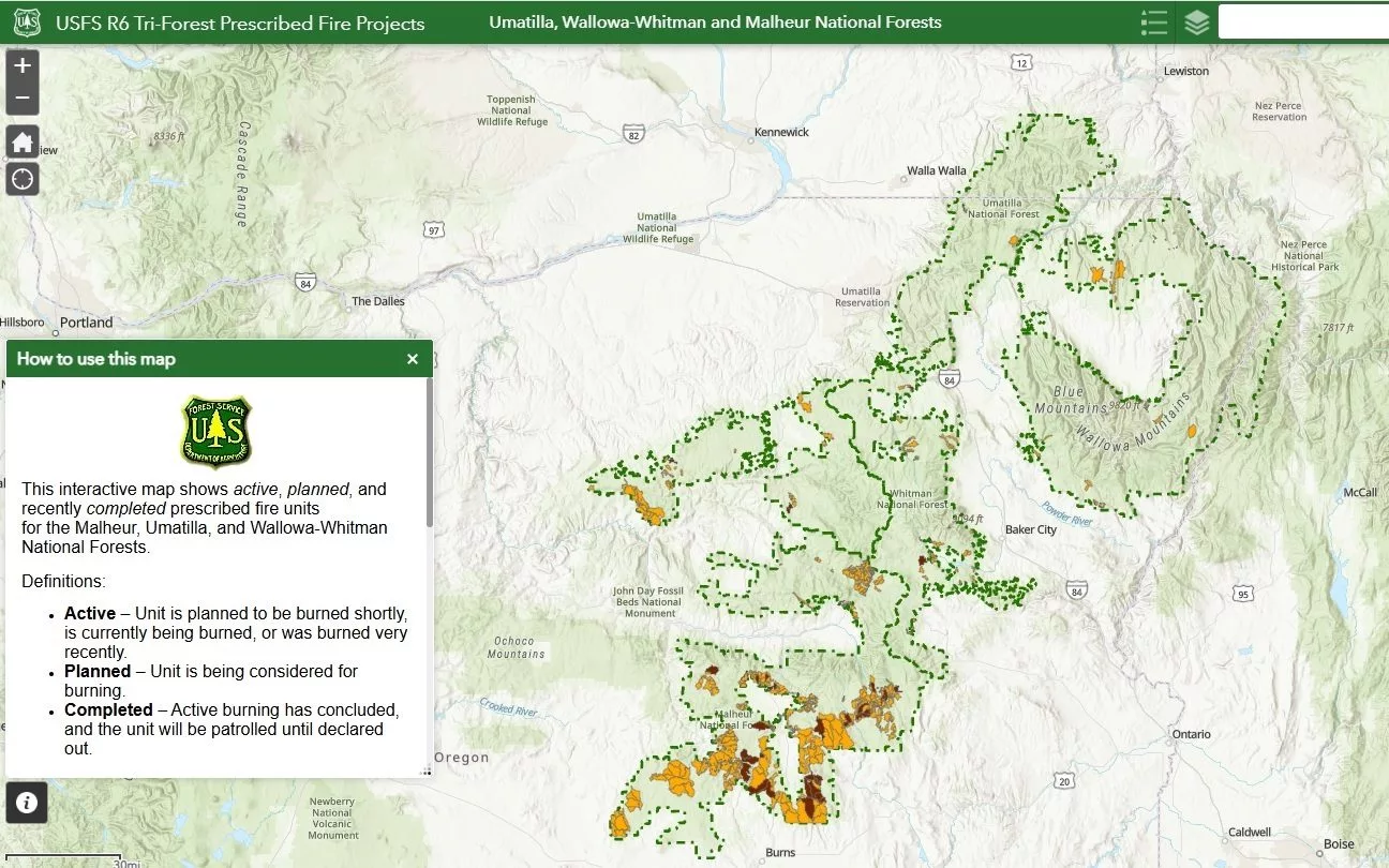 prescribed-burning-_-april2025