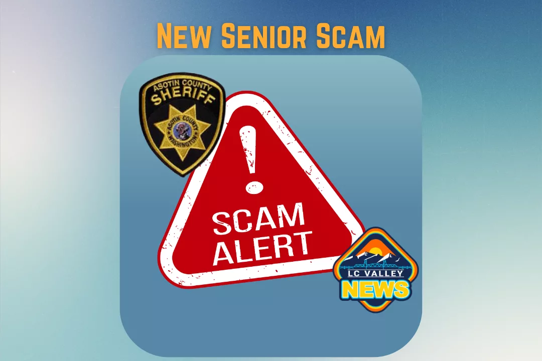 senior-scam