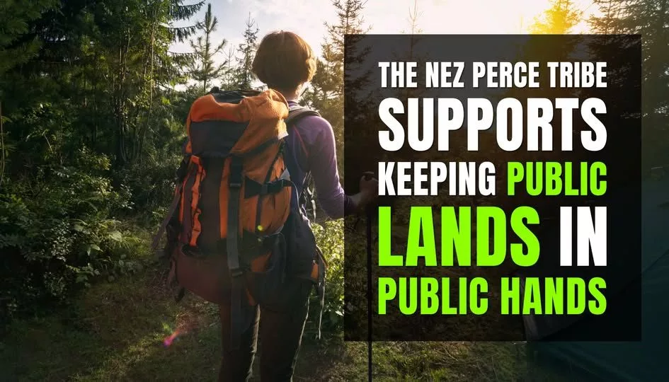 nez-perce-tribe-opposes-simpson-bill