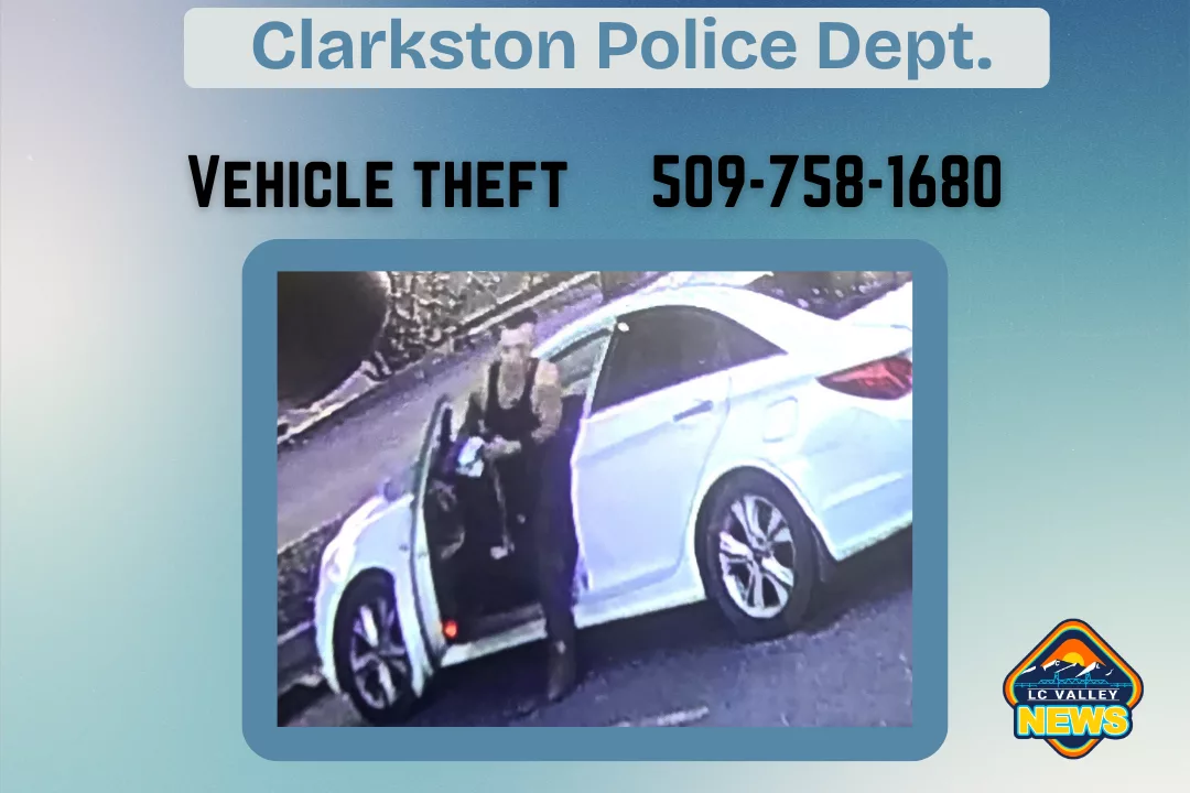 vehicle-theft-cpd