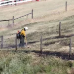 img_1956