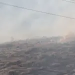 npc-fire-grass-fire-29_may_-2025_19