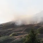 npc-fire-grass-fire-29_may_-2025_20