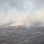 npc-fire-grass-fire-29_may_-2025_21