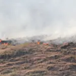 npc-fire-grass-fire-29_may_-2025_27