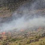 npc-fire-grass-fire-29_may_-2025_37