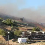 npc-fire-grass-fire-29_may_-2025_38