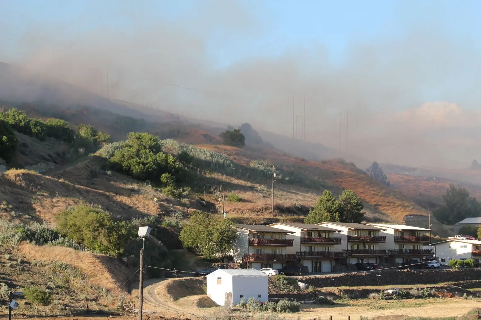 npc-fire-grass-fire-29_may_-2025_38
