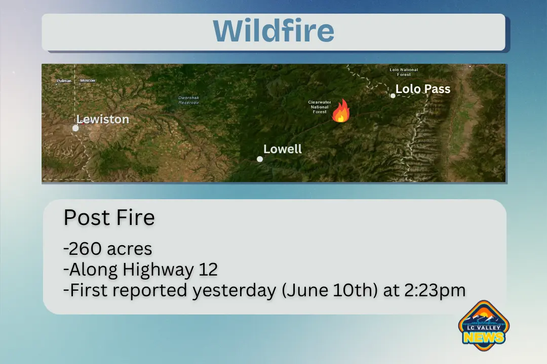 wildfire