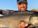 chinook