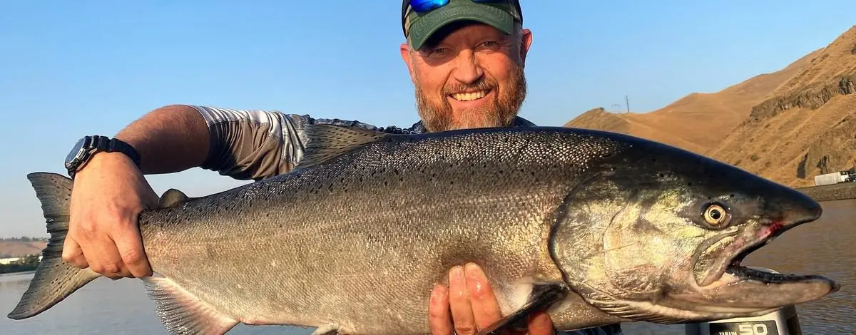 chinook