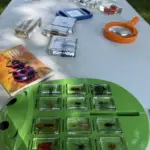 Library On The Go