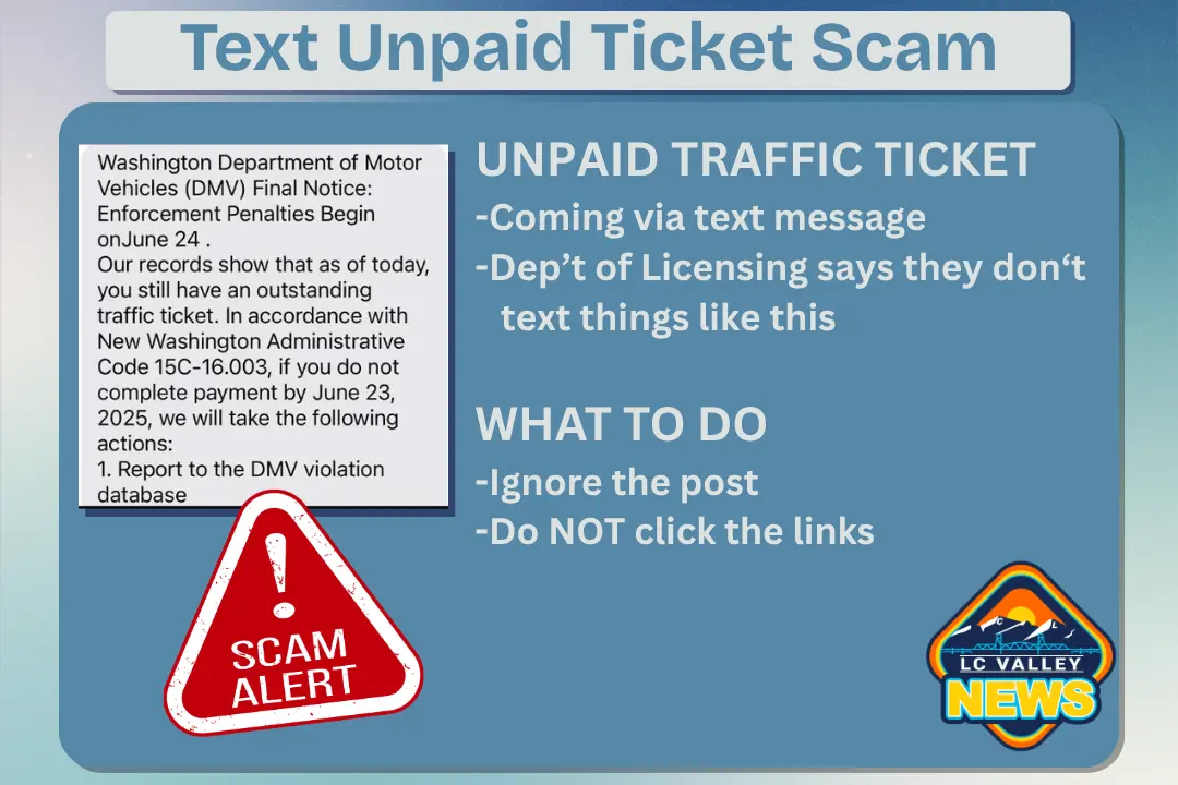 scam-2