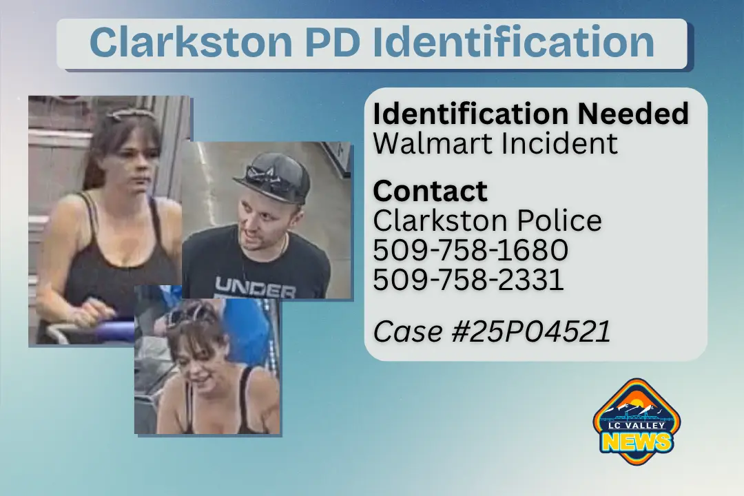 cpd-graphic-1