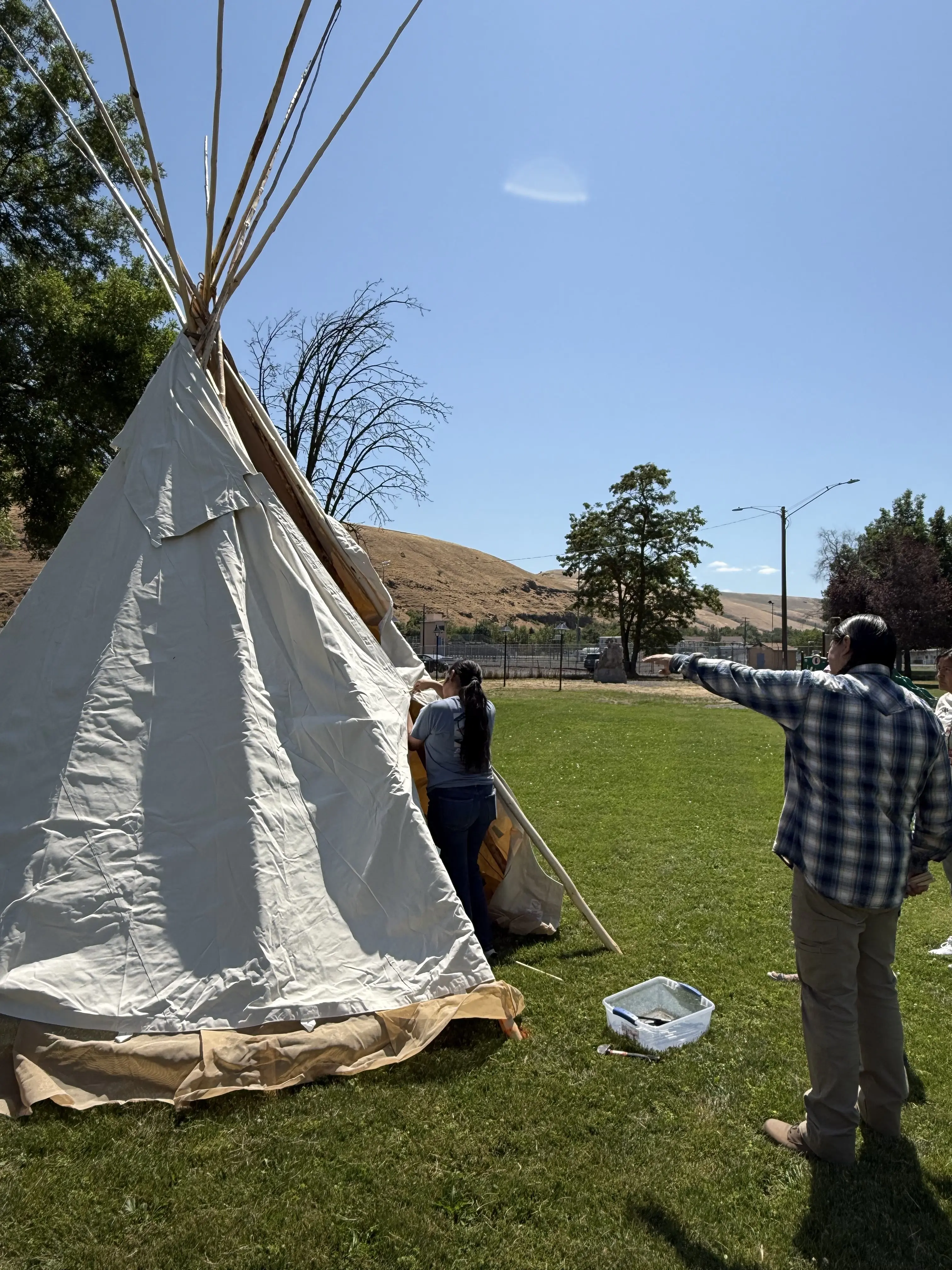 np-tribe_tipi-race2025_iphone1