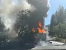 ofd2