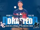 willimason-drafted