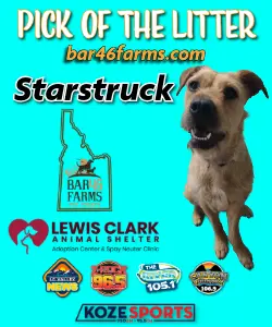 potl-starstruck-banner