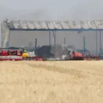 knotgrassrdfire_13aug2025_7