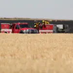 knotgrassrdfire_13aug2025_9