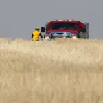 knotgrassrdfire_13aug2025_11