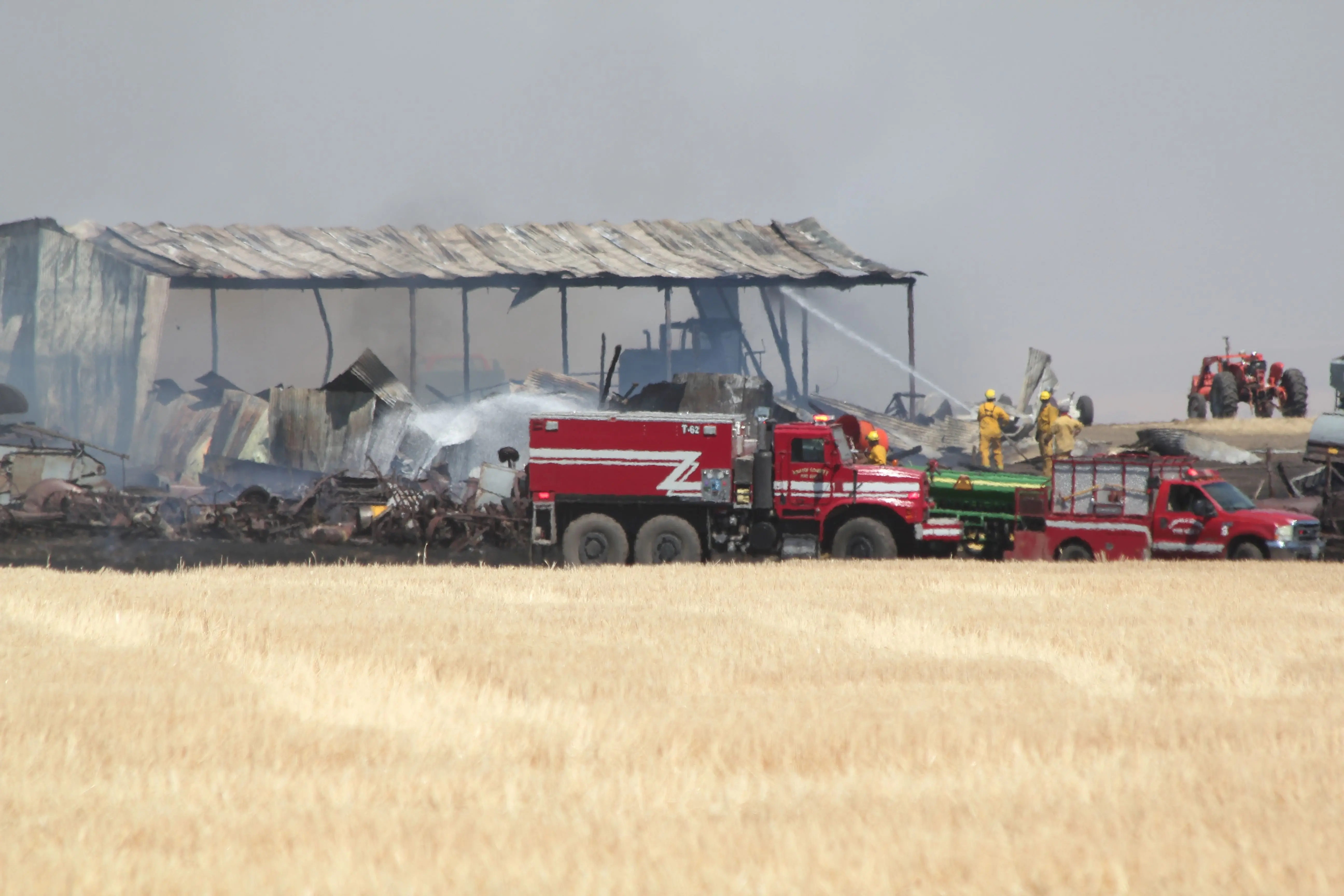 knotgrassrdfire_13aug2025_27