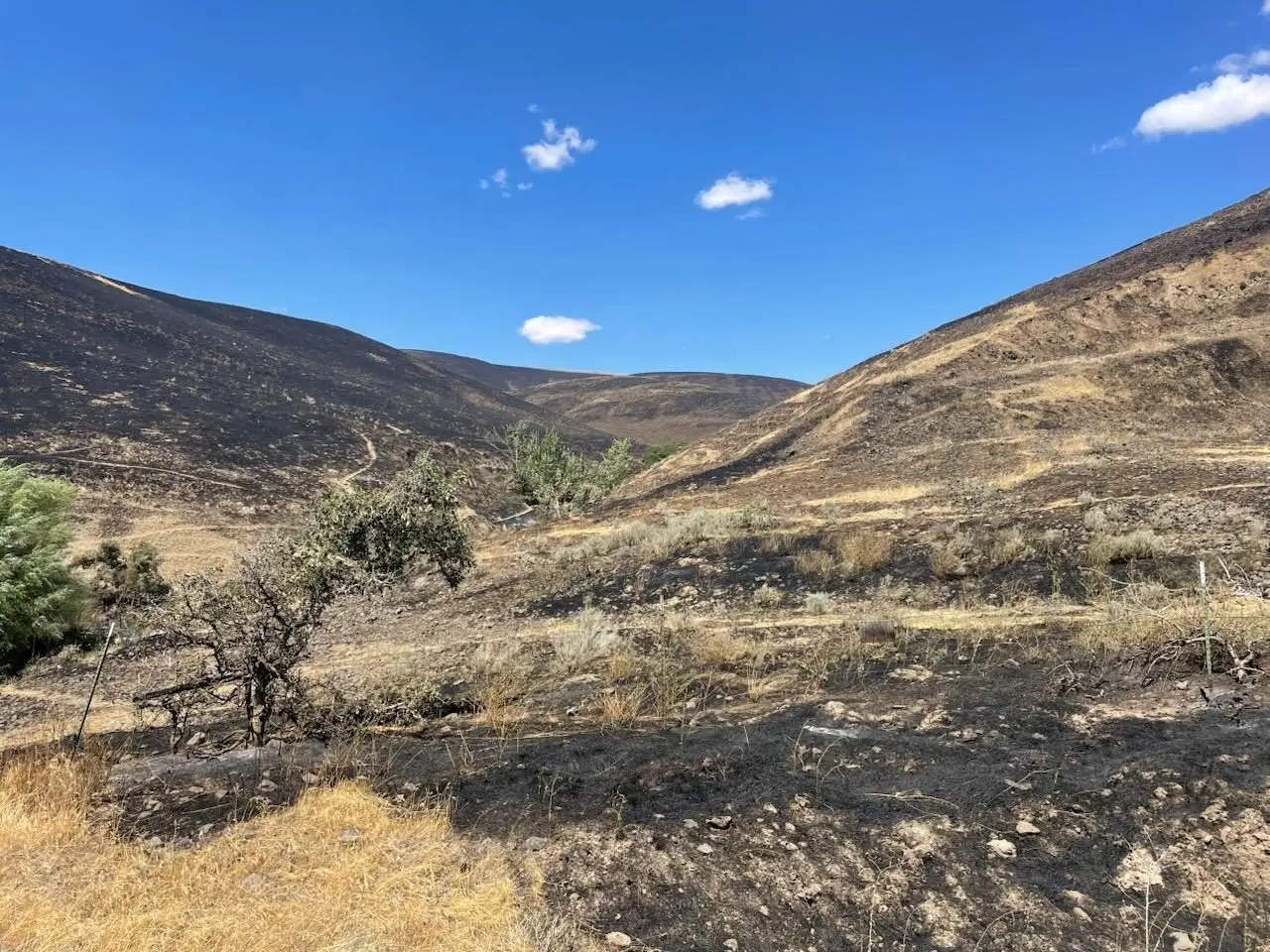 central-ferry-wildfire-2025