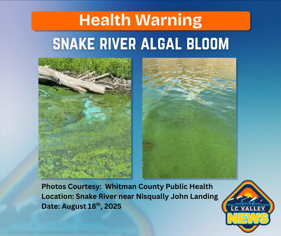 snake-river-algal-bloom