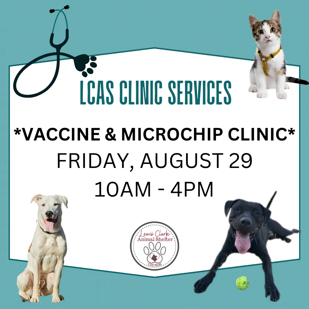 lcas-clinic