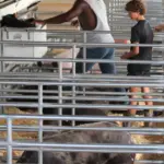 nez-perce-county-fair-2025_weds_21