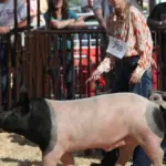 nez-perce-county-fair-2025_thurs_16
