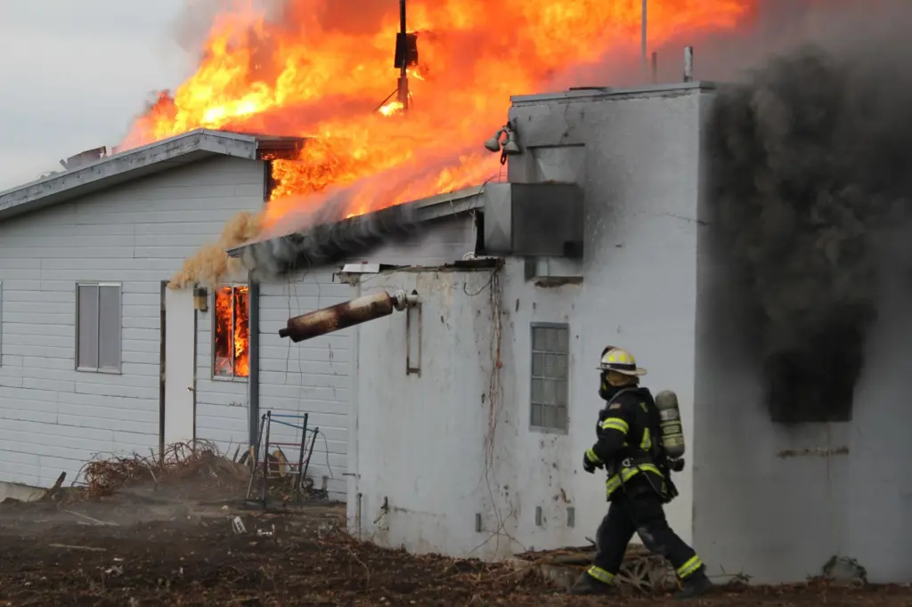 lfd-idavend-training-_-20_nov_2025_-50