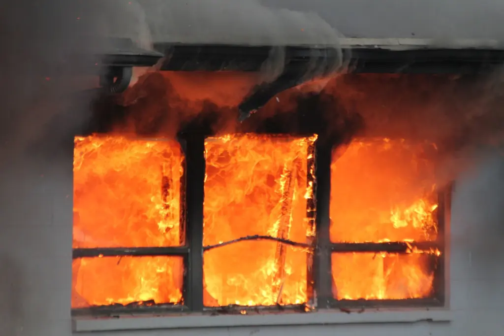 lfd-idavend-training-_-20_nov_2025_-69