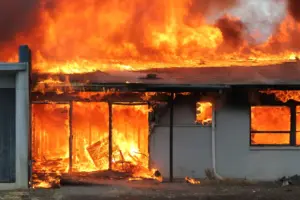 lfd-idavend-training-_-20_nov_2025_-84