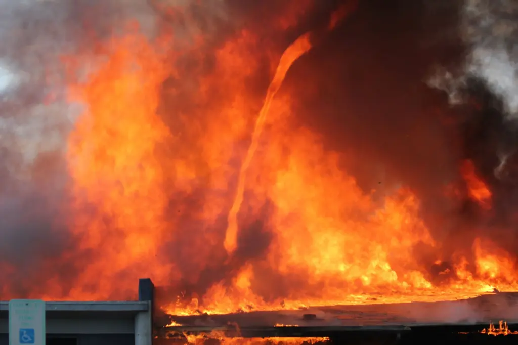 lfd-idavend-training-_-20_nov_2025_-86