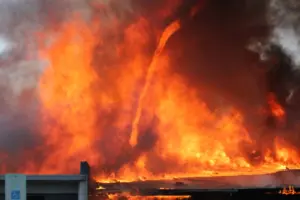 lfd-idavend-training-_-20_nov_2025_-86