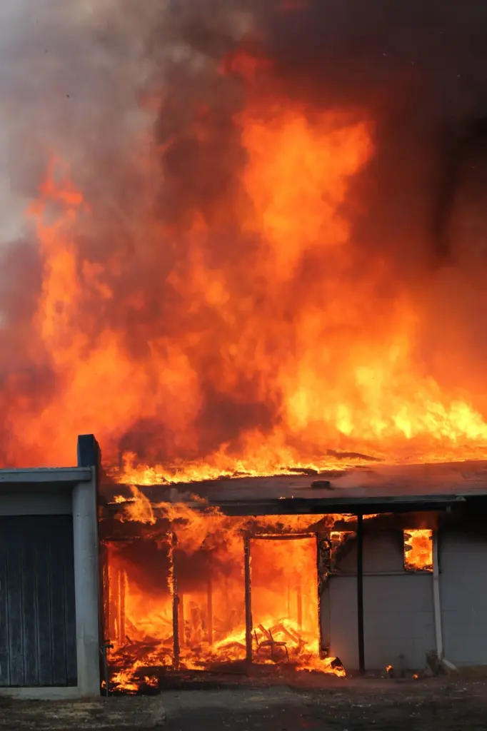 lfd-idavend-training-_-20_nov_2025_-92