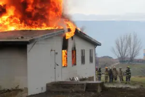 lfd-idavend-training-_-20_nov_2025_-96