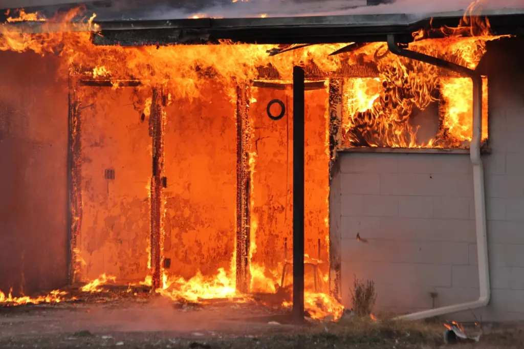 lfd-idavend-training-_-20_nov_2025_-101