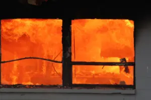 lfd-idavend-training-_-20_nov_2025_-111