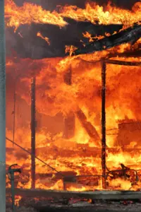 lfd-idavend-training-_-20_nov_2025_-118