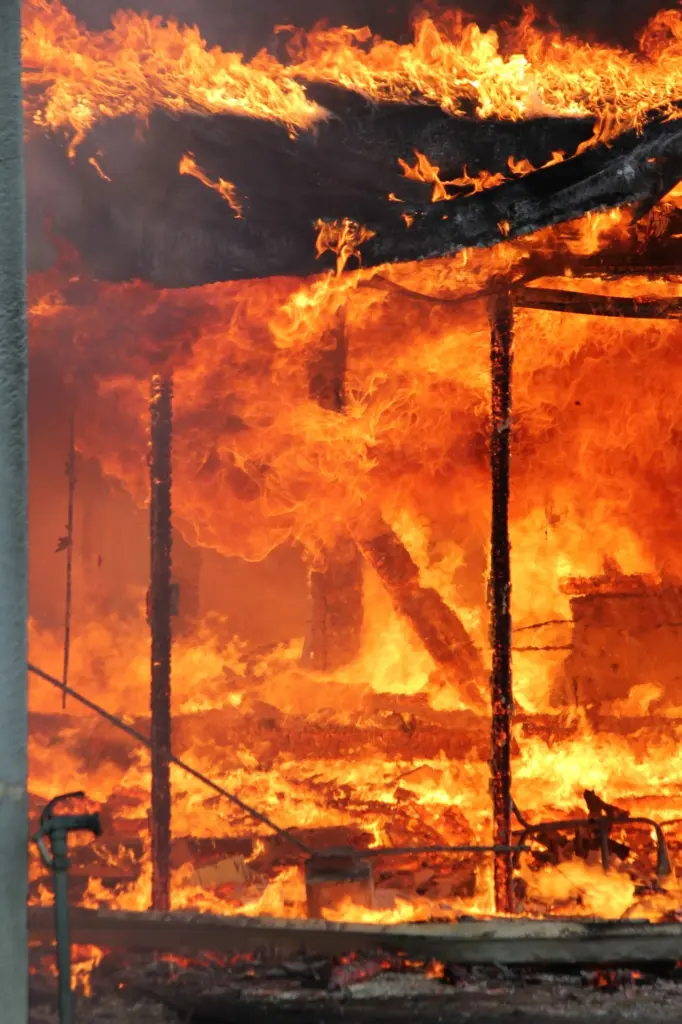 lfd-idavend-training-_-20_nov_2025_-118