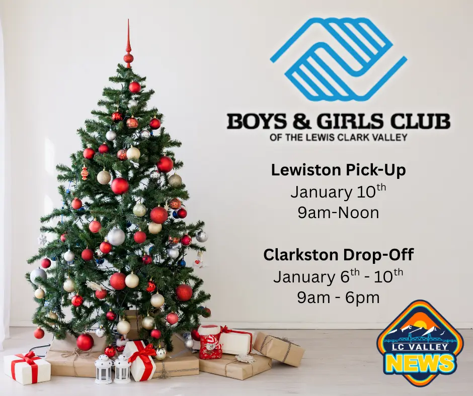 boys-girls-clubs-christmas-tree-pick-up