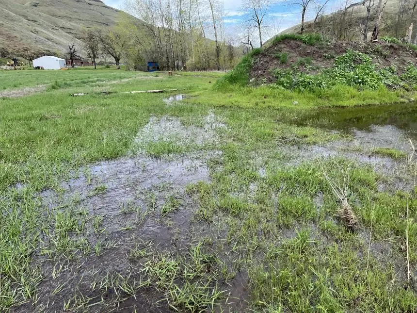 asotin-creek-shooting-range-flooded
