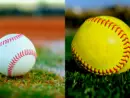 baseball-softball