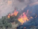 alpowa-fire-2